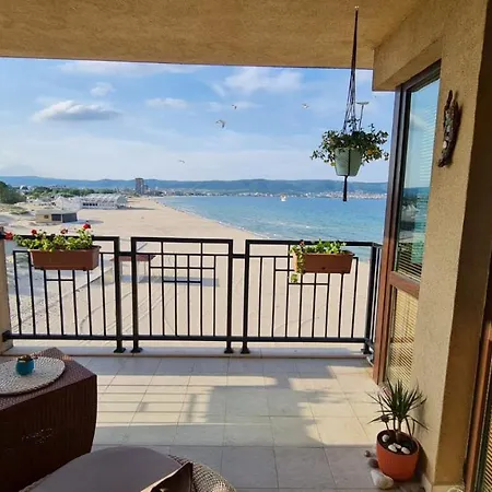 Apartament Oasis *