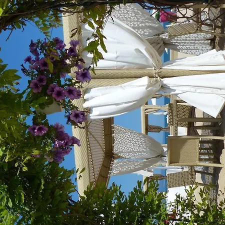 Oasis Sluneční pobřeží