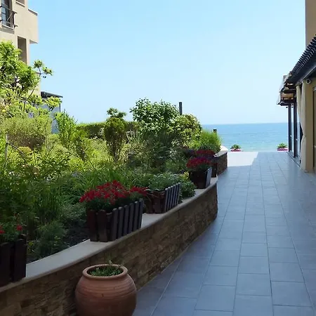Oasis * Słoneczny Brzeg